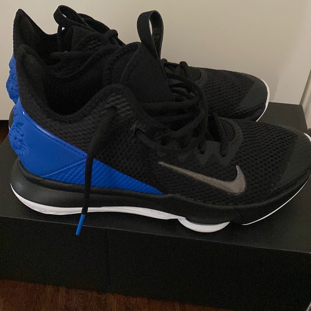 Lebron Witness IV Sneakers
